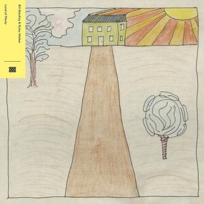 Vinile - Bill Mackay / Ryley Walker - Land Of Plenty  - Drag City -D- Neu