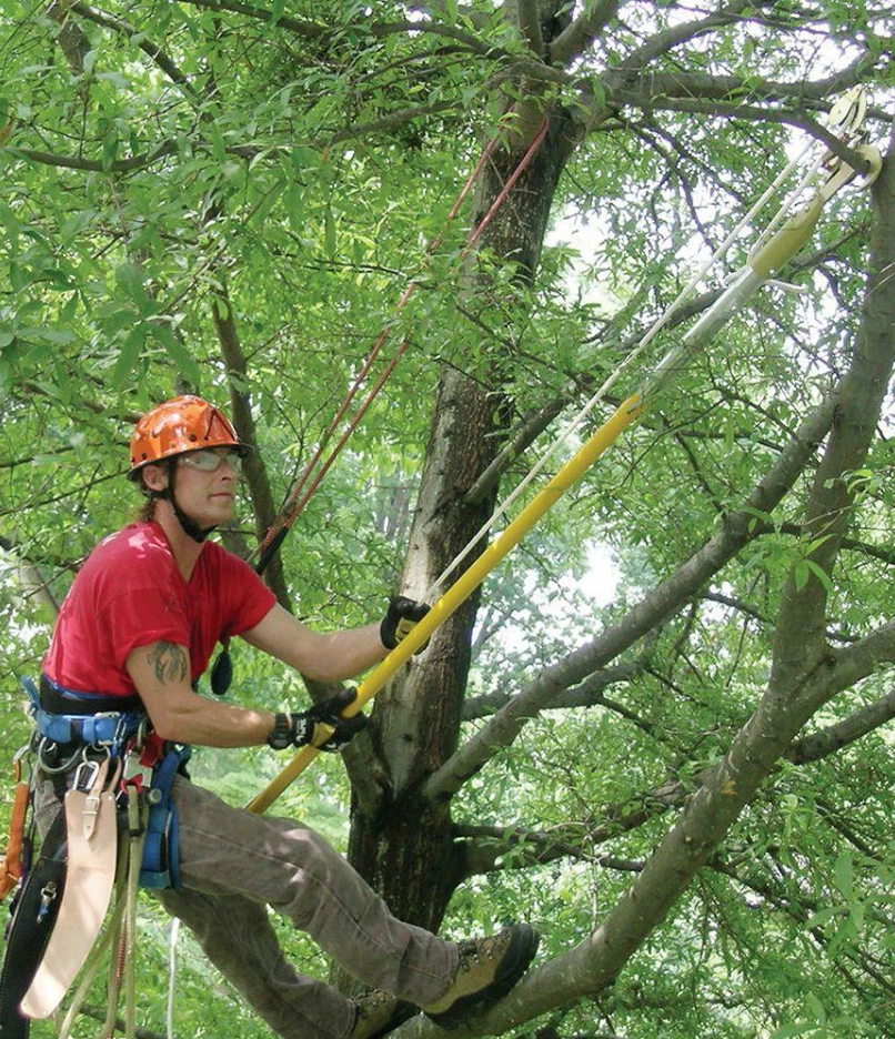 Jameson pole pruner online