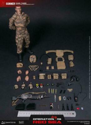 DAMTOYS 1:6 PLA Navy Marine Corps  Jiaolong  Special Operations Brigade Solider