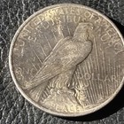 1924 Silver Peace Dollar — photo 2