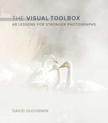 Master Photography with 60 Visual Lessons – The Essential Toolbox for Stronger Images