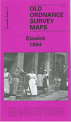 MAP OF Elswick and Dunston Riverside 1894: Tyneside Sheet 17 by Roy Young NEW