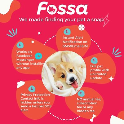 Poster Missing Pet Alert In Large Memory Of Lost Pet