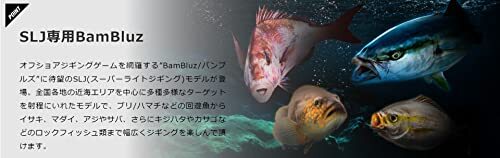 976605_5