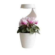 Eve, Modern Self-Watering Desk Planter/Vase, Sculptural Drip Basin