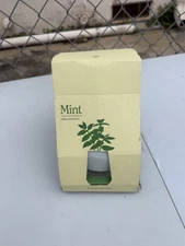 Modern Sprout Mint Hydro Grow Kit New X7