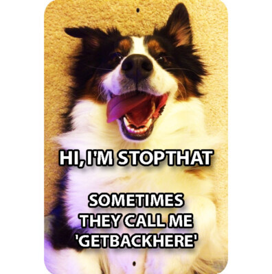 Funny Dog Meme Metal Sign 8x12 Call Me Stop that Get back here Humor Name  Art