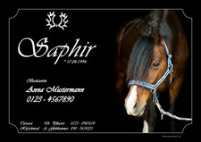 individuelles Boxenschild Stallschild Stalltafel Pferd Schild           # SAPHIR