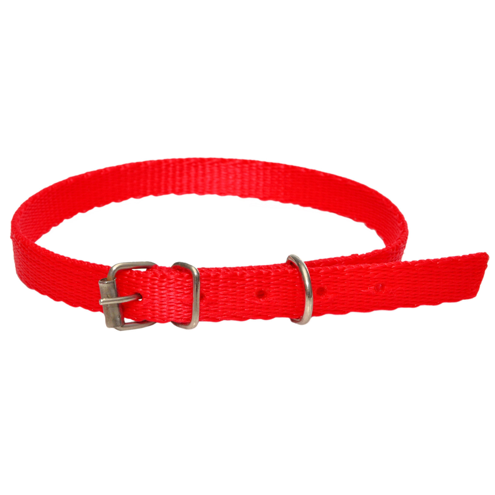 Nylon bing DOG PUPPY COLLARS 18" & 21" long eBay