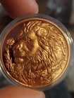 Colorized 1 OZ Copper Round Majestic Wildlife Lion Bullion in case — photo 1