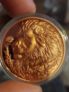 Colorized 1 OZ Copper Round Majestic Wildlife Lion Bullion in case