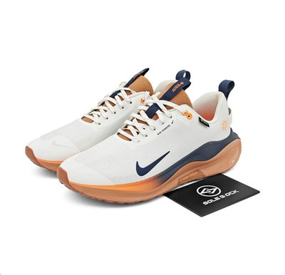 Nike ReactX Infinity Run 4 GORE-TEX Waterproof Men's Running Shoes White