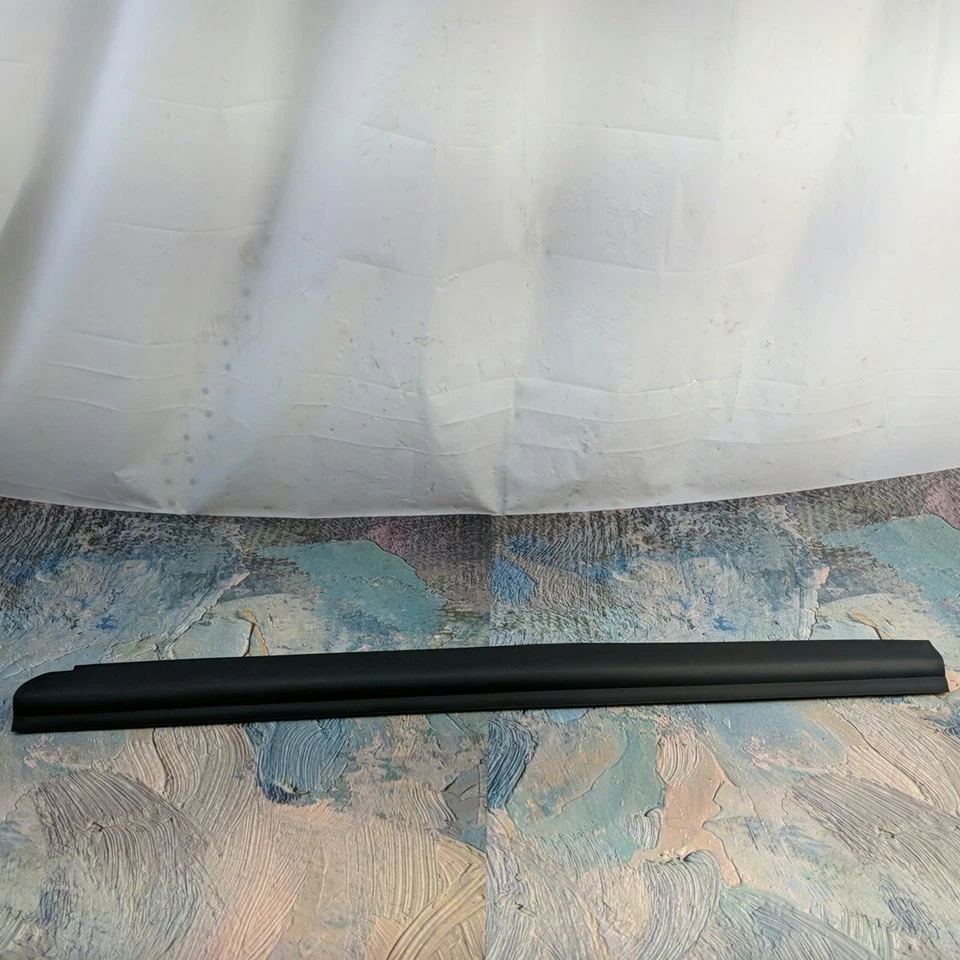 Cinturón de sellado de barrido de ventana de puerta exterior derecha Ford Ranger 1999-2011 Dorman 25859 nuevo de stock Foto 2 de 4