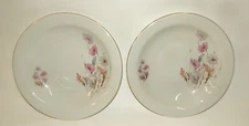 2 Mitterteich Bavaria Germany China Wild Flowers Coupe Soup Bowls 9"