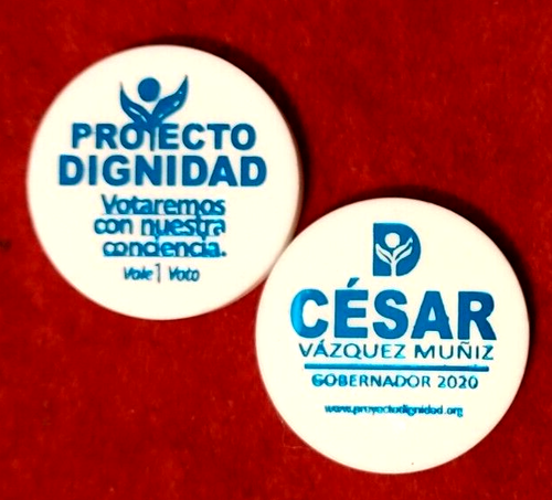 Ficha Partido PROYECTO DIGNIDAD PUERTO RICO legno nichel gettone politica politica - Foto 1 di 8