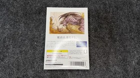 WonderSwan Color Final Fantasy I Limited Pack Console CIB Bandai WSC-001 Japan