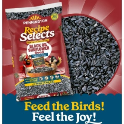 Pennington Select Black Oil Sunflower Seed Wild Bird Dry Feed, 10 lb. New Bag
