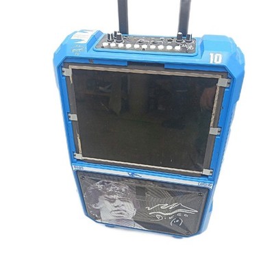 Canta Tu Karaoke D10S Professionelles Karaoke System Gebrauchsspuren Mikrofon fe