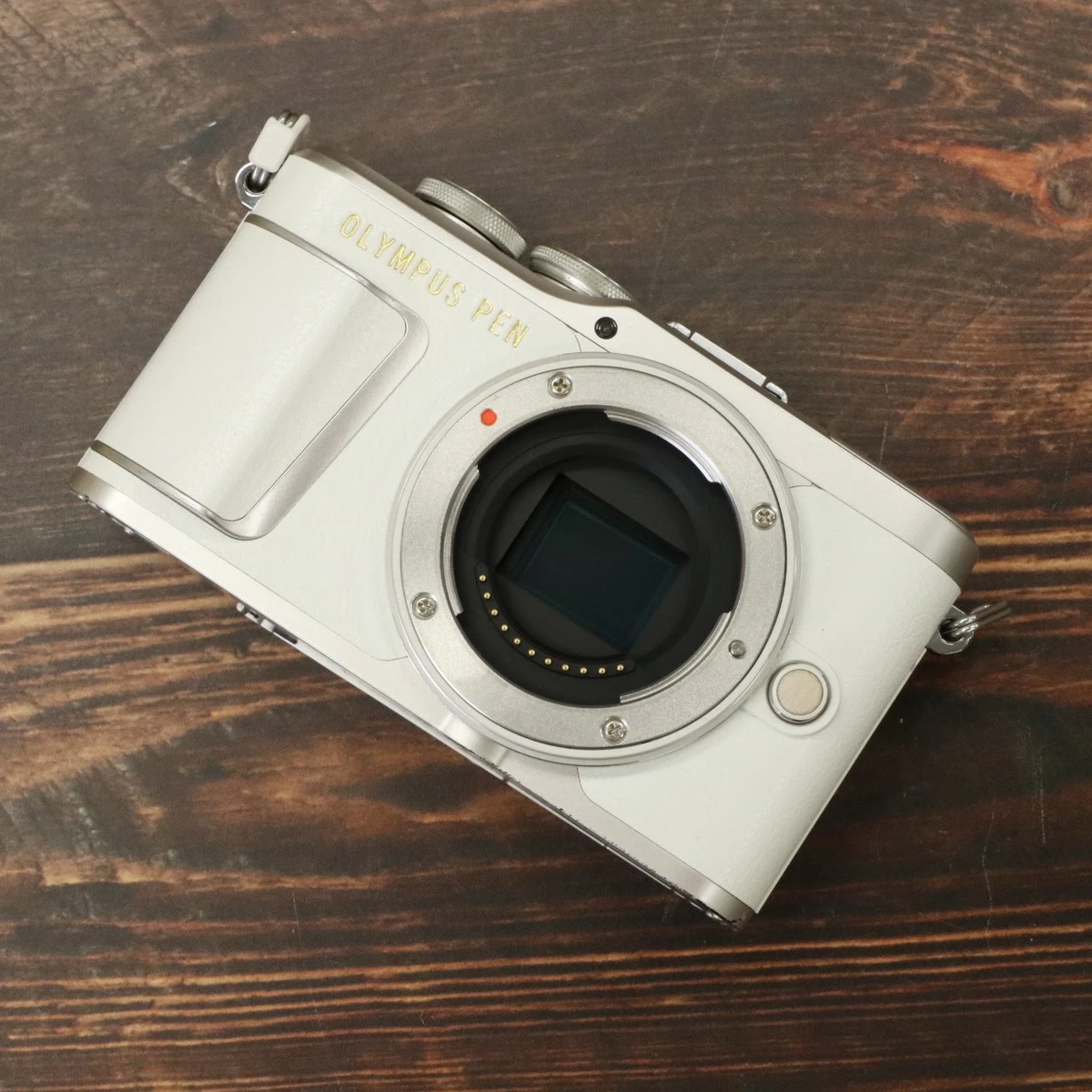 25+ Olympus: PEN E-PL9 Digital Cameras for sale | Updated Sep 2026