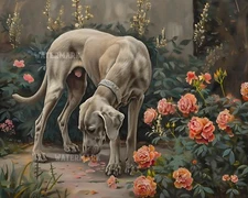 8x10 Matte Print Weimaraner Dog Sniffing Flowers in Garden