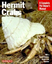 Hermit Crabs: Everything About Anatomy, Ecology, Purchasing, Feeding,...