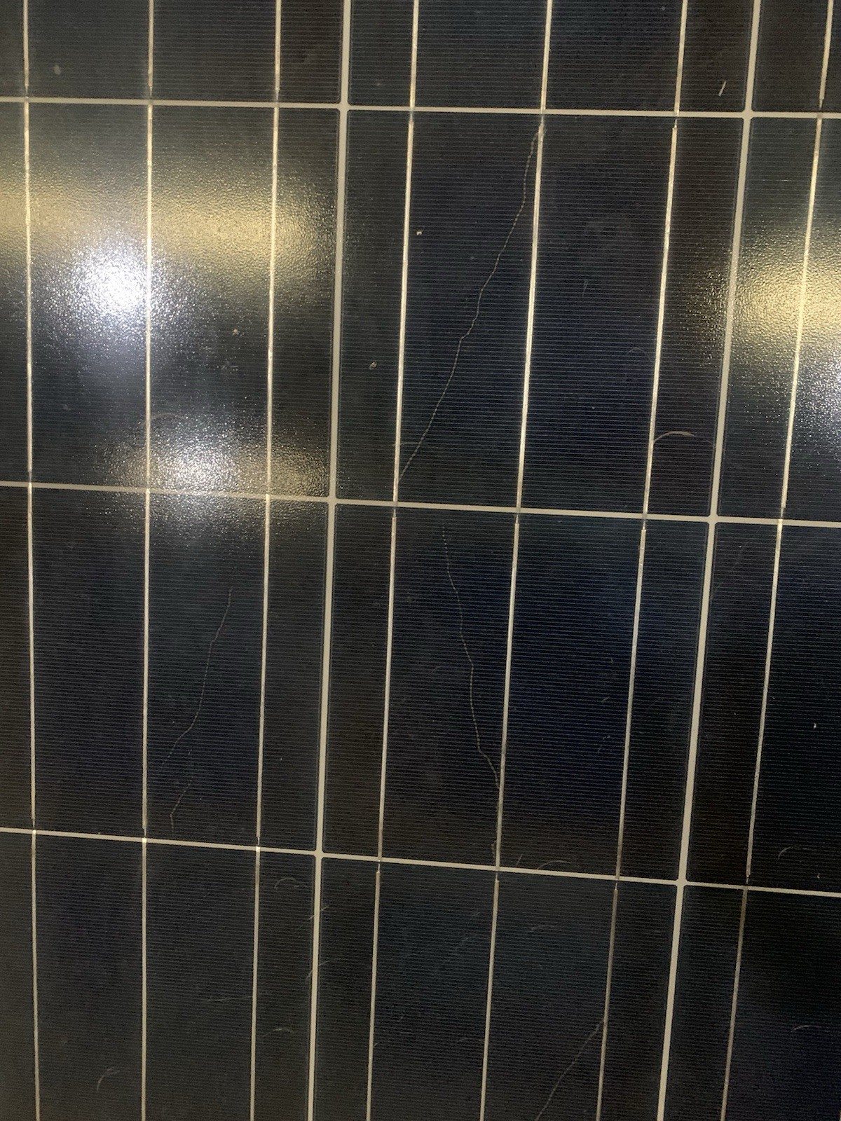 Solar Panel Ebay Solar Panels 300w Renesola with Sticker *snail Trails. Great solar ...