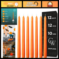 12" Orange Taper Candles Set of 12 - Slow Burning, Ideal for Halloween  Thanksg