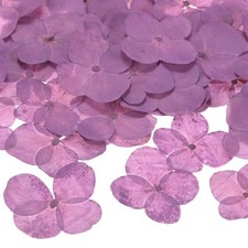 12er-Pack Echte Trockenblumen f&uuml;r Harz DIY Lila