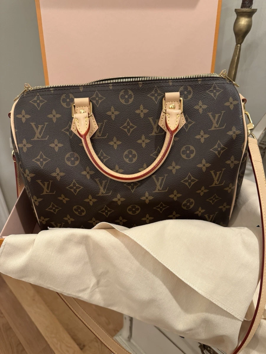 Preços baixos em Louis Vuitton Speedy 30 | eBay