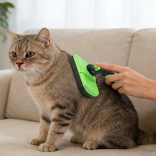 Pet Hair Removal Brush, One-Button Hair Removal Needle Comb, Hair Removal Brush