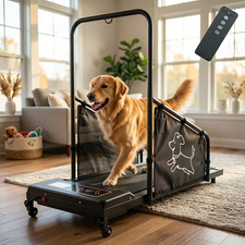 Dog Pacer Treadmill Electric Remote Control Healthy Fitness Run Walk Medium Dogs