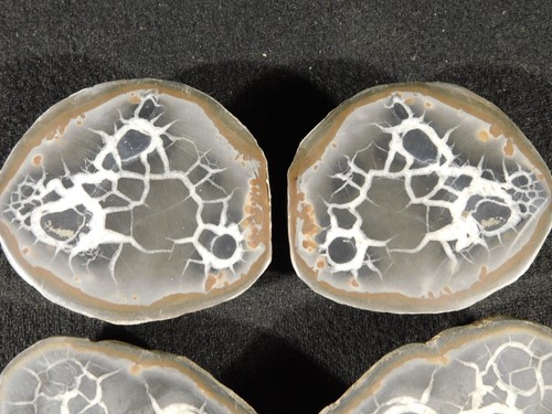 TWO! Larger Cut and Polished SEPTARIAN Nodules From Morocco 391gr - Picture 6 of 12