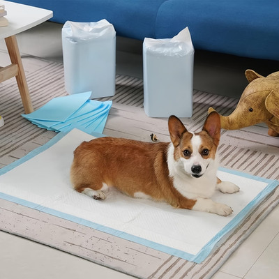 50pcs 23.6 Inch X 23.6 Inch Super Absorbent Dog Urine Pad, Puppy Training
