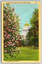California Sacramento State Capitol & Park Linen #799 Postcard, L5