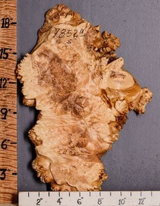 5A Burl Maple Lumber with Live Edge 13" X 19" X 1" (NWT-7852C)