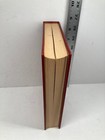 Bild 489 von 617