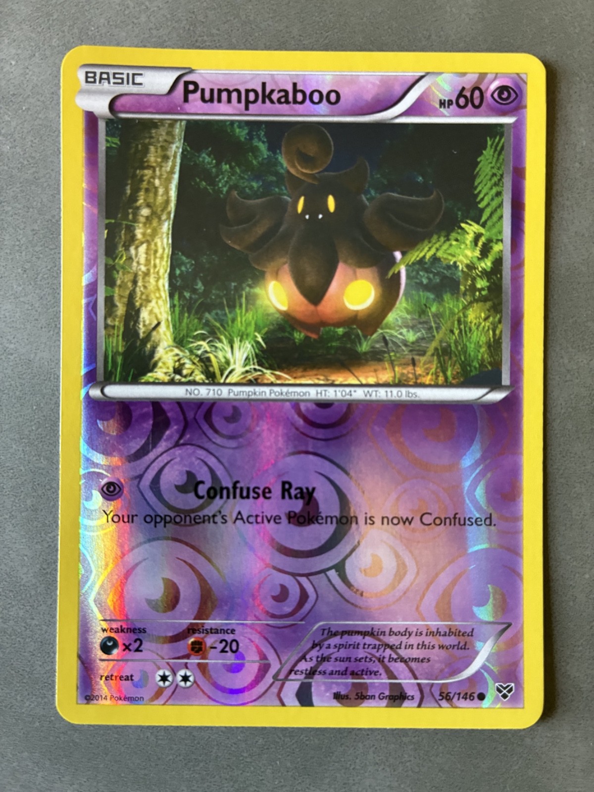 POKEMON TCG PUMPKABOO 56/146 HOLO 2014