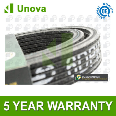 V Ribbed Drive Belt Unova Fits Ford Mondeo S-Max Galaxy 2.0 2.5 AG9E6C301DA