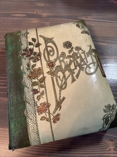 Antique Vintage Celluloid Victorian Photo Album Green Velvet Empty