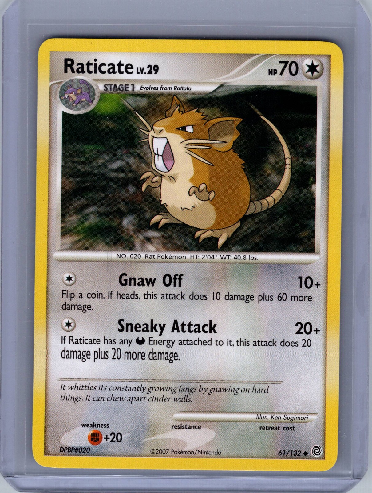 Raticate 61/132 Secret Wonders Uncommon LP