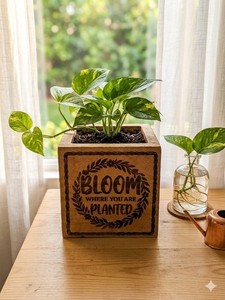 Inspirational Wooden Planter Bloom Where You Are Planted Positive Message Garden