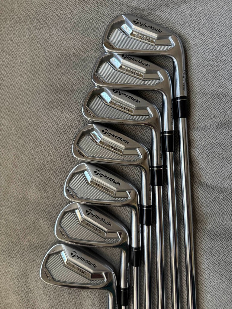 テーラーメイド P750 TOUR PROTO アイアン6本セット 5〜P DG 値下げ