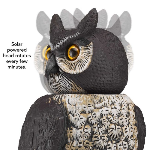 Dalen Motion Activated Solar Rotating Head Owl Decoy MRHO-4 - Bild 3 von 4
