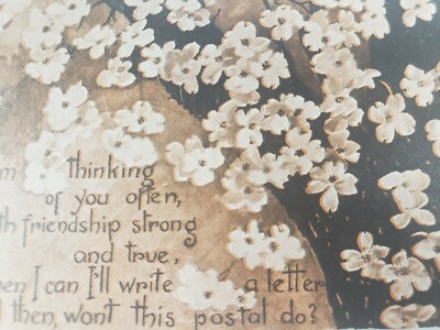 C 1915 Friendship I'll Write a Letter Poem Flowering Dogwood Tree Postcard