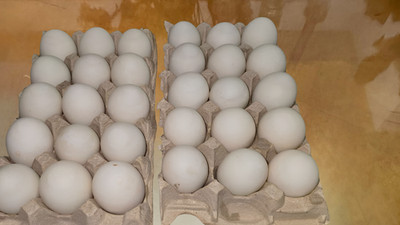 12 Farm Fresh Duck Eggs  Pasture Raised, Free Range, Organic For Eating