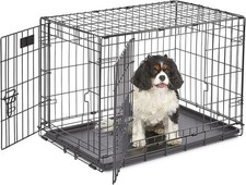 MidWest Homes Pets 30-Inch iCrate Medium Breeds 21-40 lbs Double Door Folding