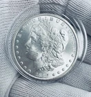 1884 cc $1 Morgan dollar Raw Brillant Uncirculated