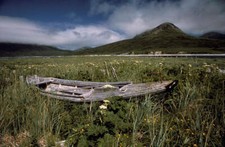 Abandoned in Alaskan Meadow 2 Dory Boat Mountains Landscape Art Print 16x24 🛶