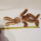 Picture 15 of 16