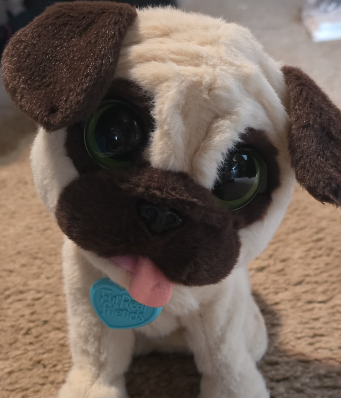 FurReal Friends Pug Dog Toy with Blue Heart Tag Interactive Animal Collectible